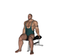 Shrug - Seated Dumbbell